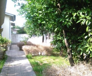 فروش ملک مسکونی حیاط دار