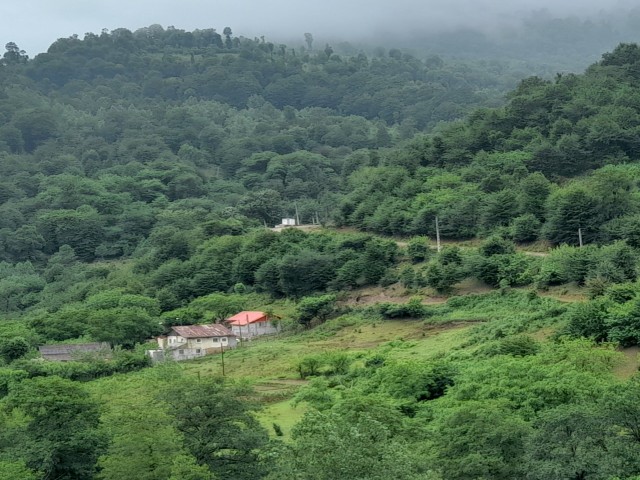 ۵۰۰ متر زمین مسکونی در روستای بلوردکان