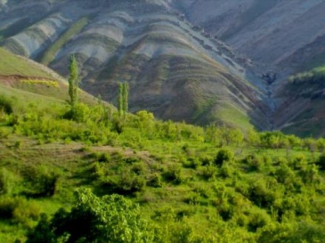 دوقطعه کجور ۲۵۰متری